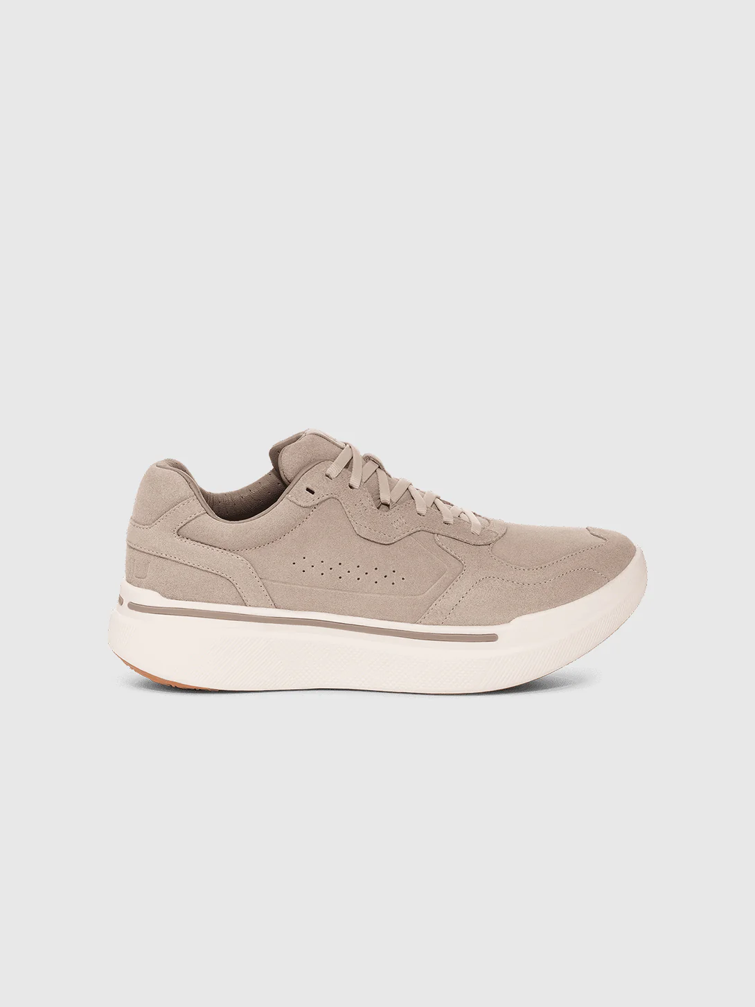 Sequence 1.1 Suede